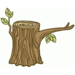 dead log