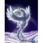 The Moon Dragons Of No Where