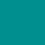 Teal Gymnastics Academy