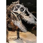 Dinosaurs 123