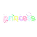 ･ﾟprincess