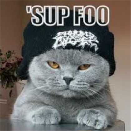 Funny kitty Roblox decal