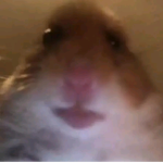 HIIIIIIIII LOL IM FUNNY