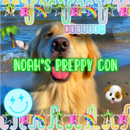 ( STORE UPDATE) NOAH'S PREPPY HANGOUT !!