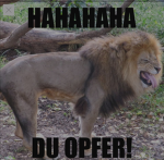 Nike.gruppe...........