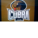 Cobra team snakes