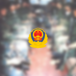 [PAP]武警机动大队