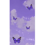 The lovely aesthetic butterflys
