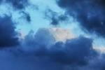 Blue_Cloud Team