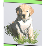 i cant think think of a name so here it is