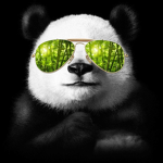 Cool Pandas