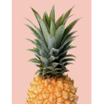 The pineapples make us smile