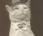 Distinguished_Gentleman