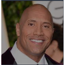 The rock