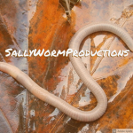 SallyWormProductions