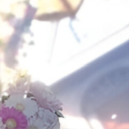 ✦