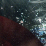          