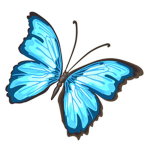 Katxbutterfly