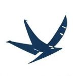 WongKin Airlines | 皇健航空