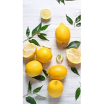 Lemon Squad!! <3 :D