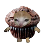 Da muffin filled head