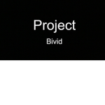 Project Bivid