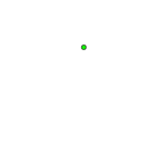 NOTDOG