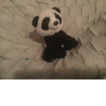 .The.cute.Pandas.