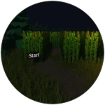 Finished Hard Maze