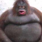 Scariest Roblox Game (Warning: Very Scary)