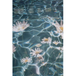 ʙᴜᴛᴛᴇʀꜰʟʏ ꜱqᴜᴀᴅ