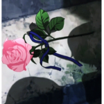 The Court of Roses