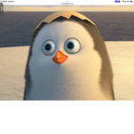 Join if you love penguins