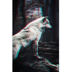 Wolfs for life -pack-