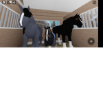 Horse Girls Forever!