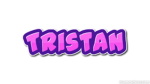 Greyson Playz roblox