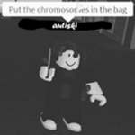 Put the Chromosomes in the Bag
