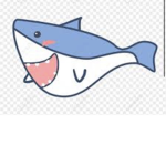 鯊魚家庭組織
