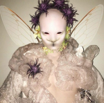 Ze Divine Botoxed Dollz
