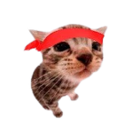 billsgod