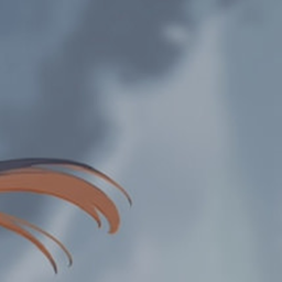 ✩