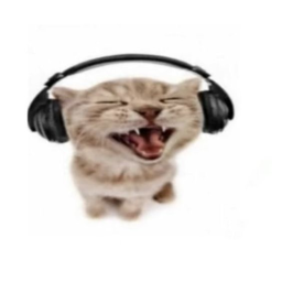 no