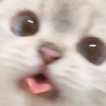 ΛMI