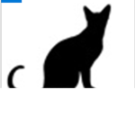 CATS ARE AMAZINGG and adorable