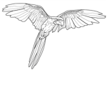 The bird group tweeeeetttt