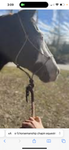 Horse people 2024 1234!!