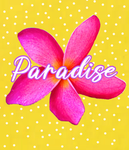 •Paradise Cafe•