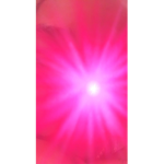 Hxlbl_kay robux