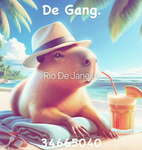De Gang.