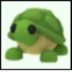 TûrtlêSqûâd